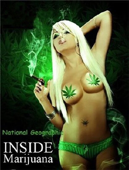 Marijuana Inc: Inside America's Pot Industry (2009) постер