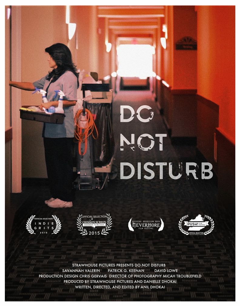 Do Not Disturb (2015) постер