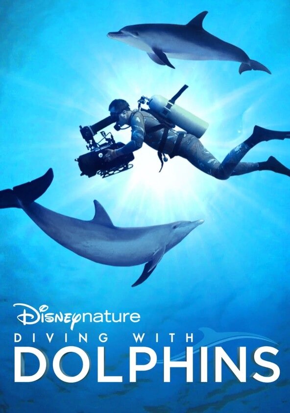 Diving with Dolphins (2020) постер