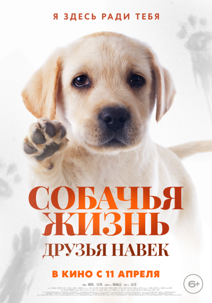 Собачья жизнь: Друзья навек (2023) постер