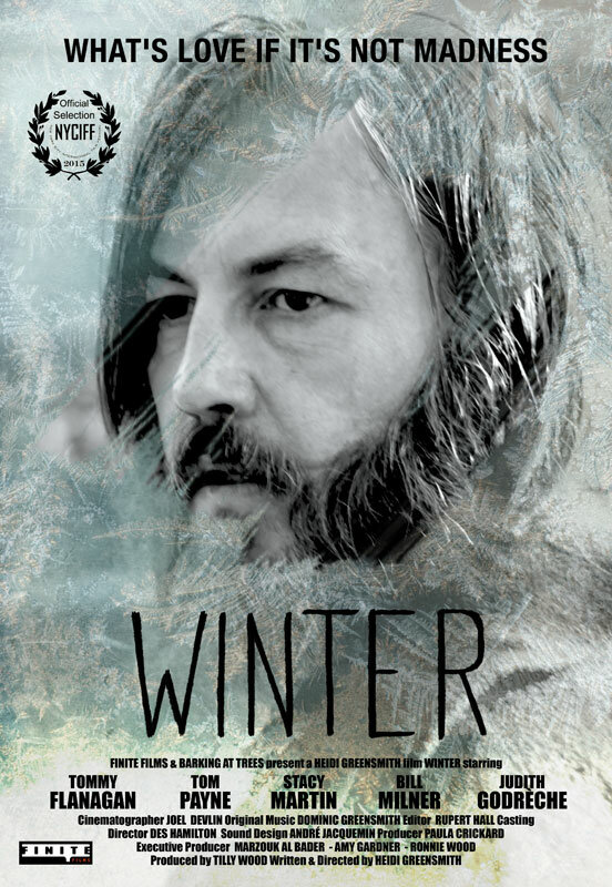 Зима (2015) постер