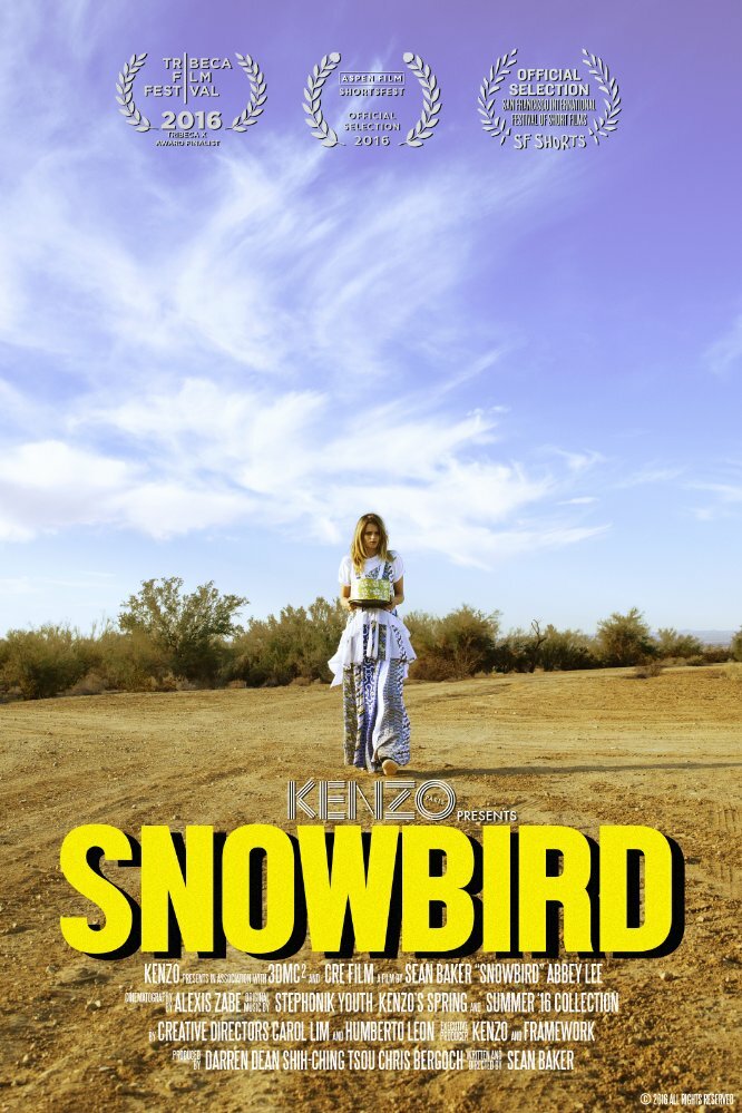 Snowbird (2016) постер