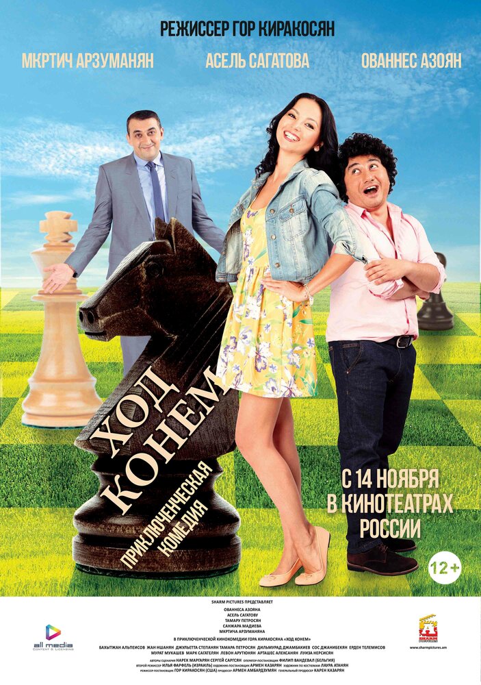 Ход конём (2013) постер