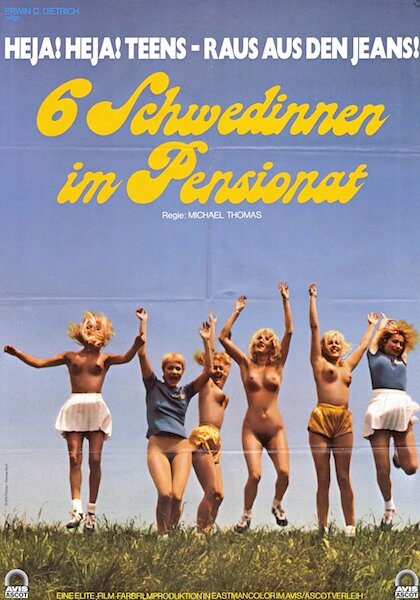 Шесть шведок в пансионате (1979) постер