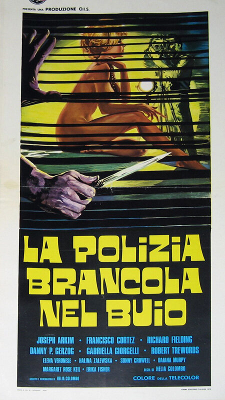 Полиция блуждает в потемках (1975) постер
