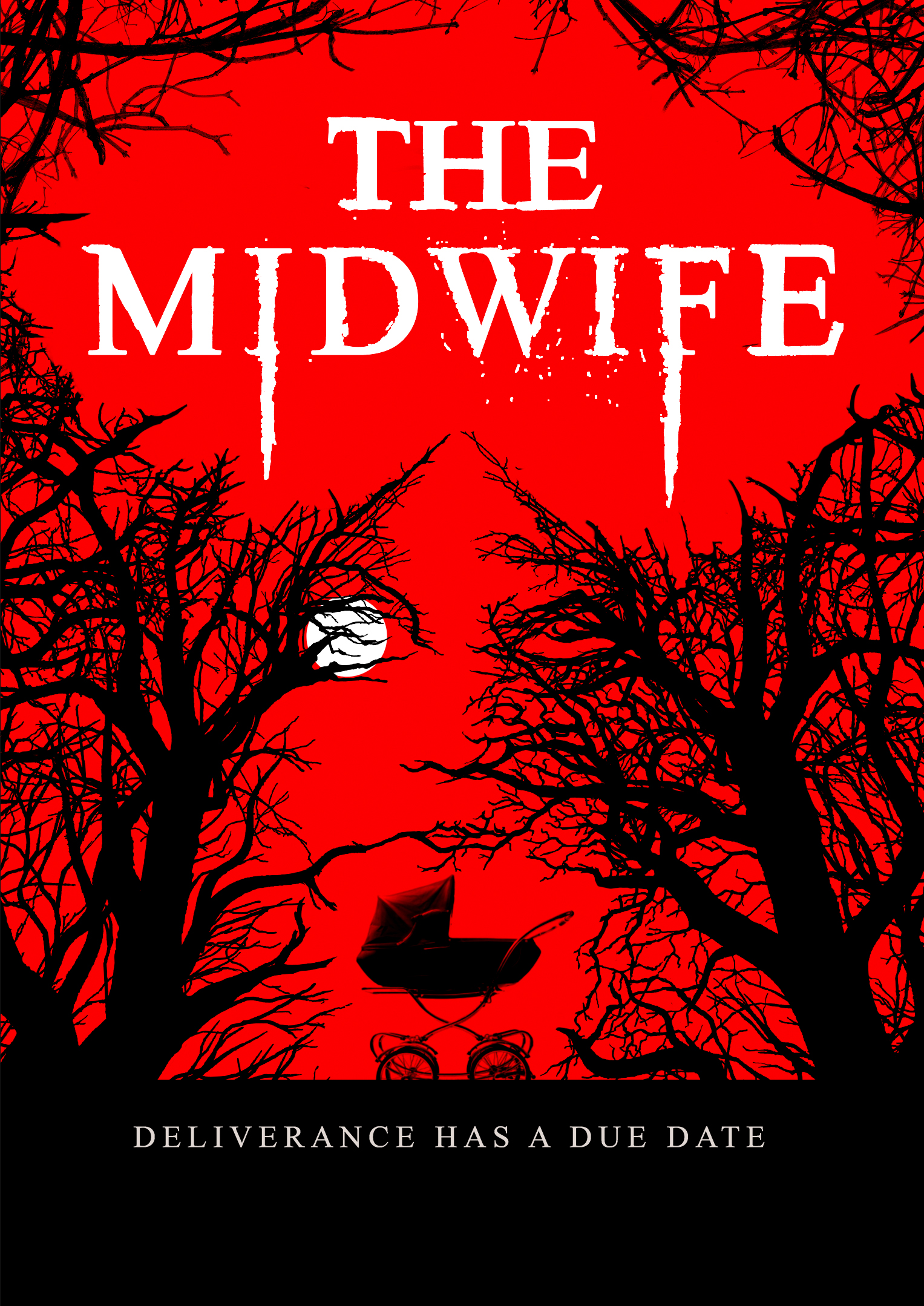 The Midwife (2021) постер