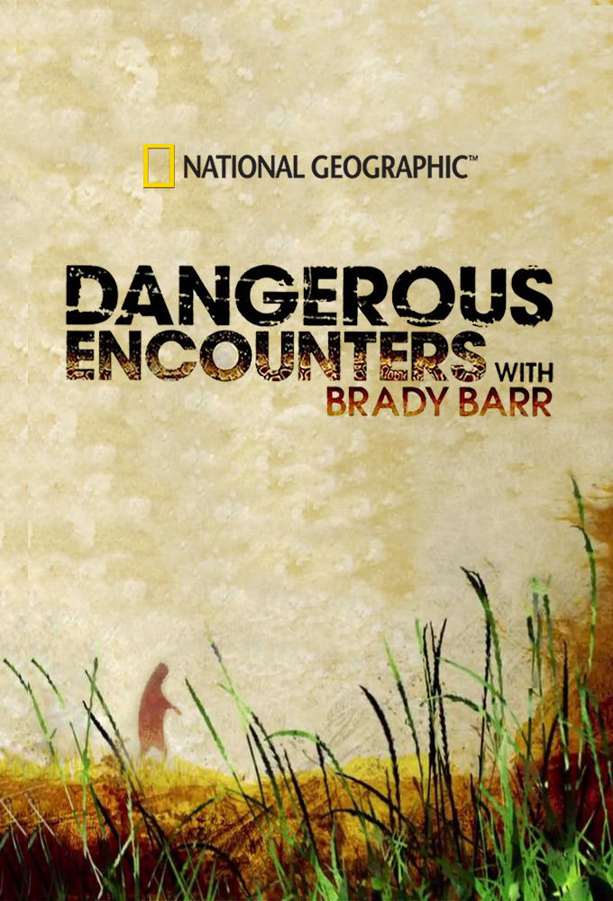 Dangerous Encounters (2005) постер