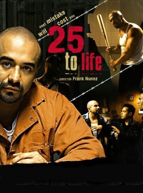 25 to Life (2008) постер