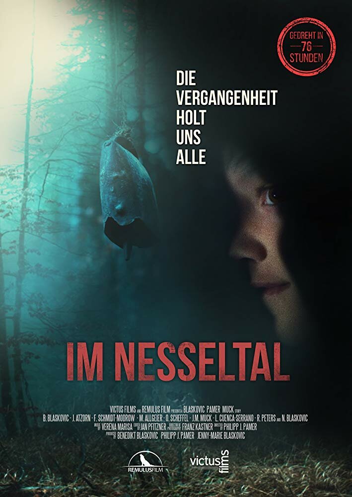 Nesseltal (2016) постер