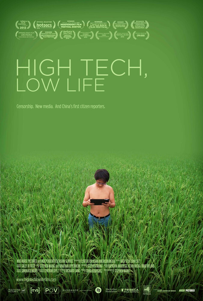 Высокие технологии, низкие истины (2012) постер