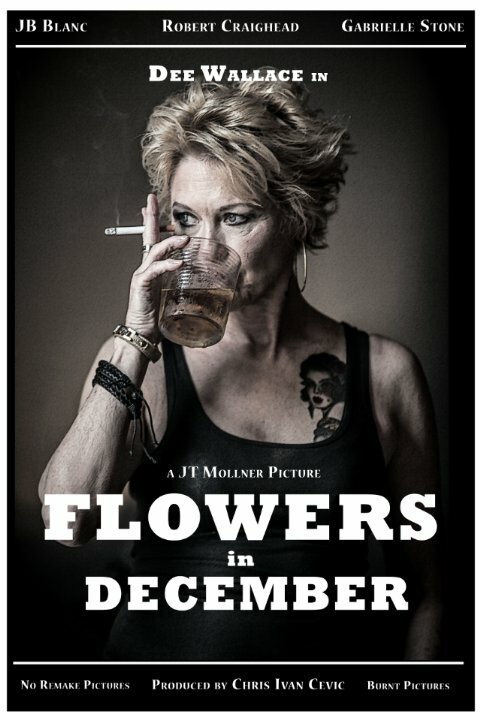 Цветы в декабре (2015) постер