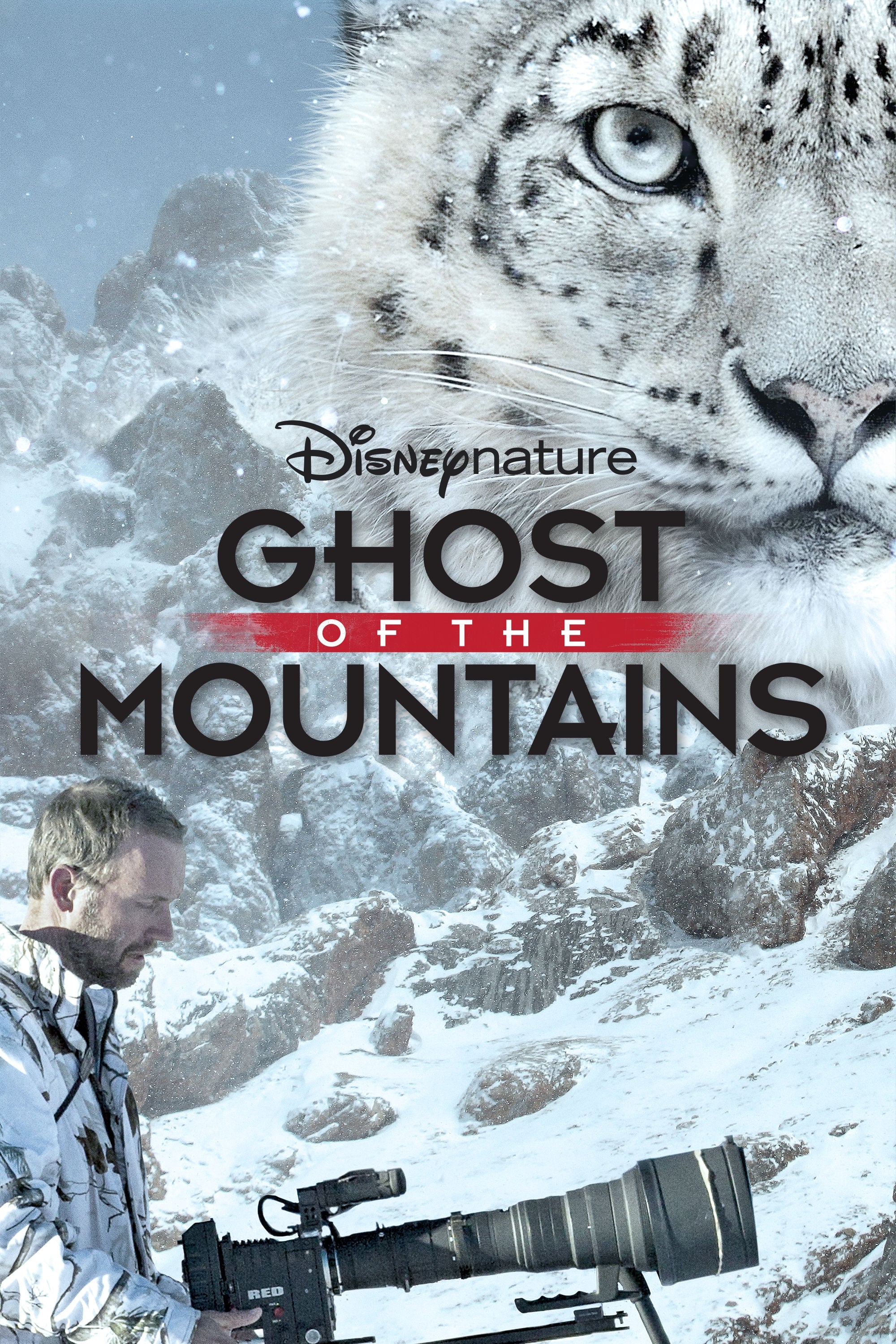 Disneynature: Ghost of the Mountains (2017) постер
