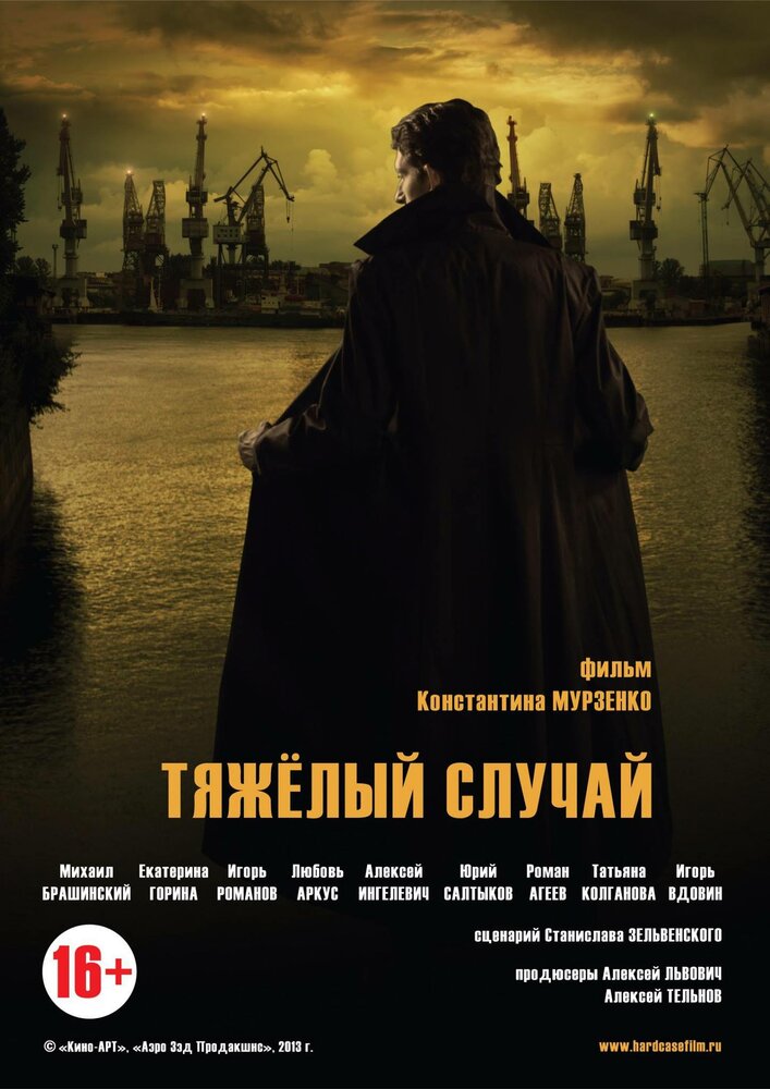 Тяжелый случай (2013) постер