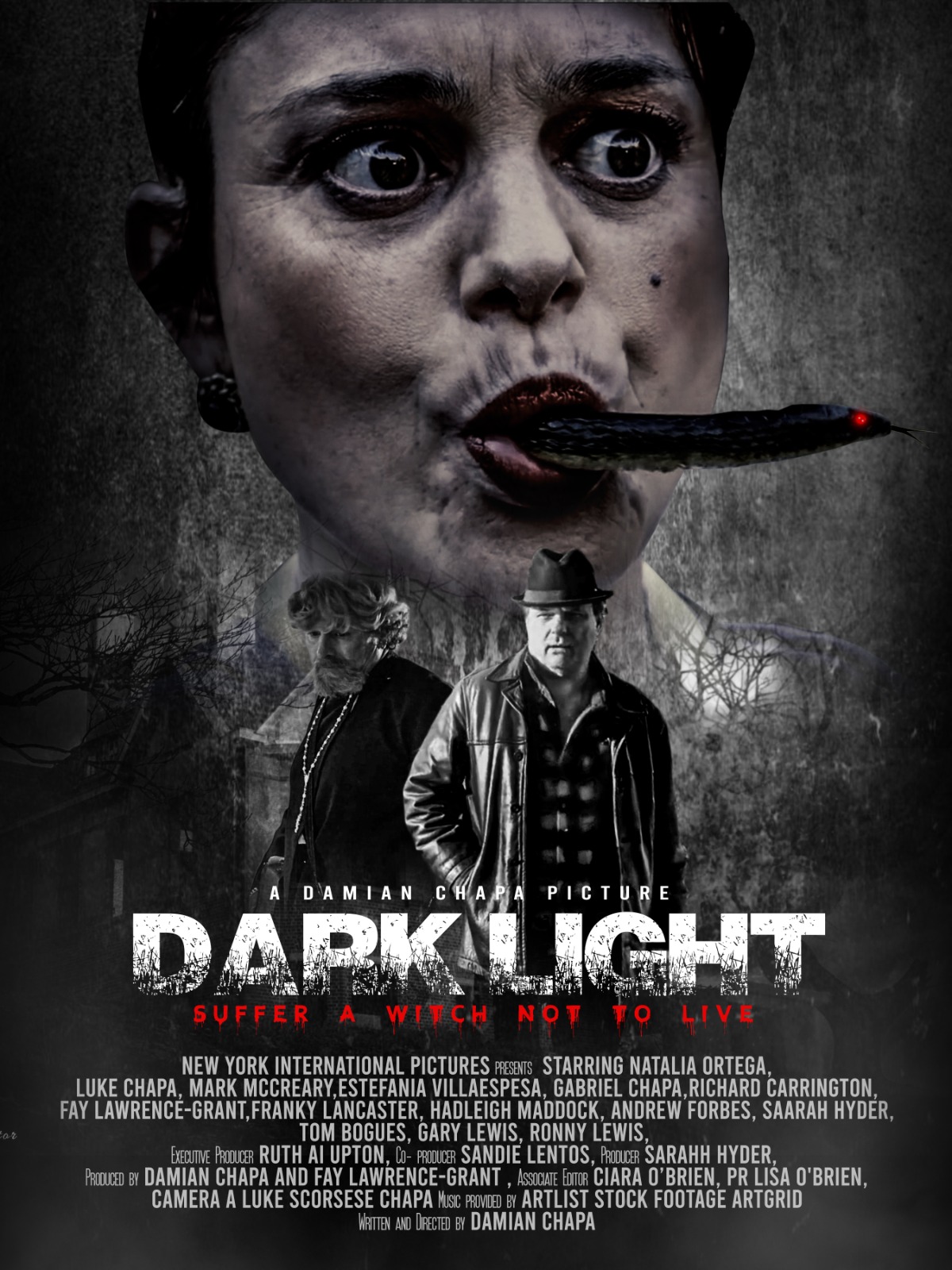 Dark Light (2021) постер