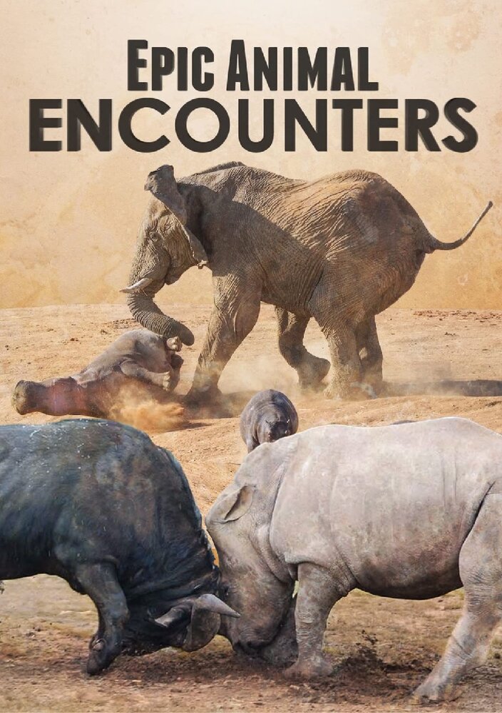 Epic Animal Encounters (2019) постер