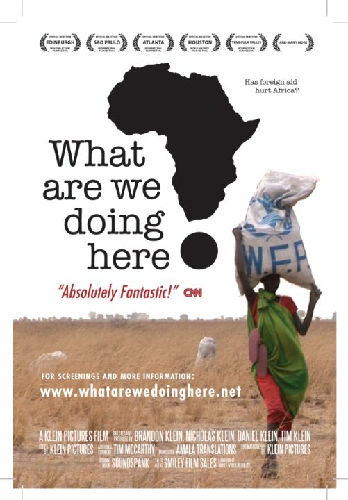 Зачем мы в Африке? (2008) постер