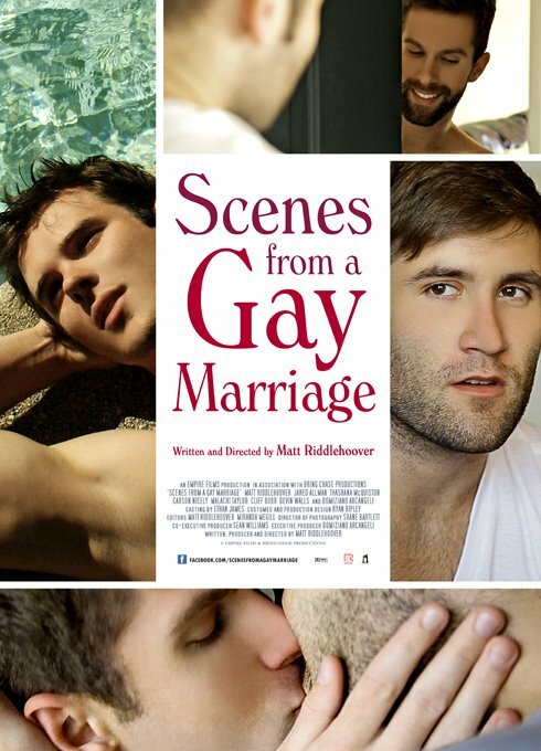 Сцены гей-брака (2012) постер