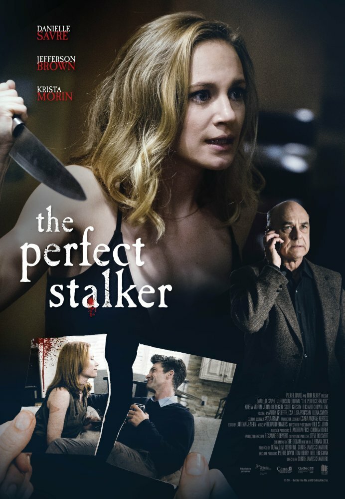 The Perfect Stalker (2016) постер