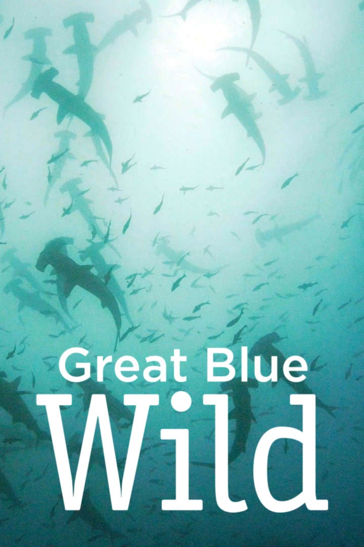 Great Blue Wild (2015) постер
