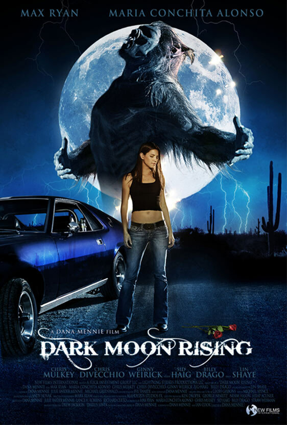 Восхождение черной луны (2009) постер