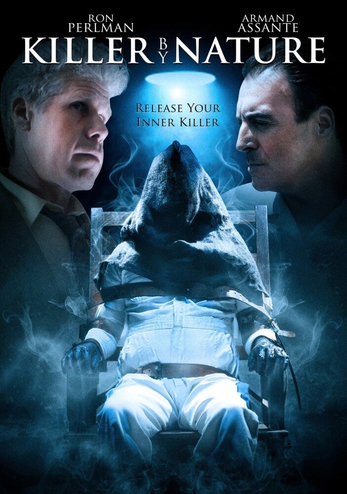 Убийца по призванию (2010) постер