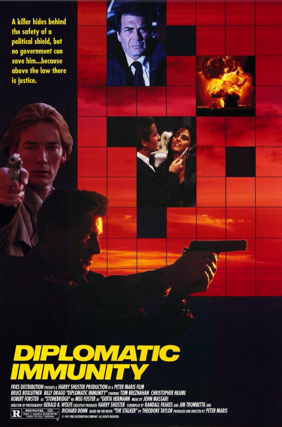 Дипломатическая неприкосновенность (1991) постер