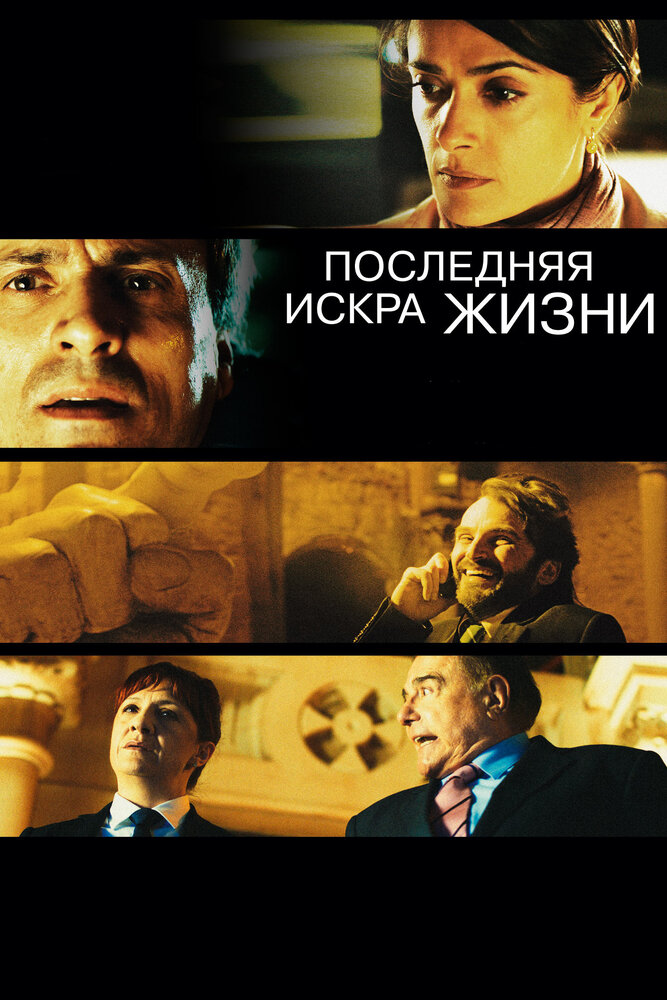Последняя искра жизни (2011) постер
