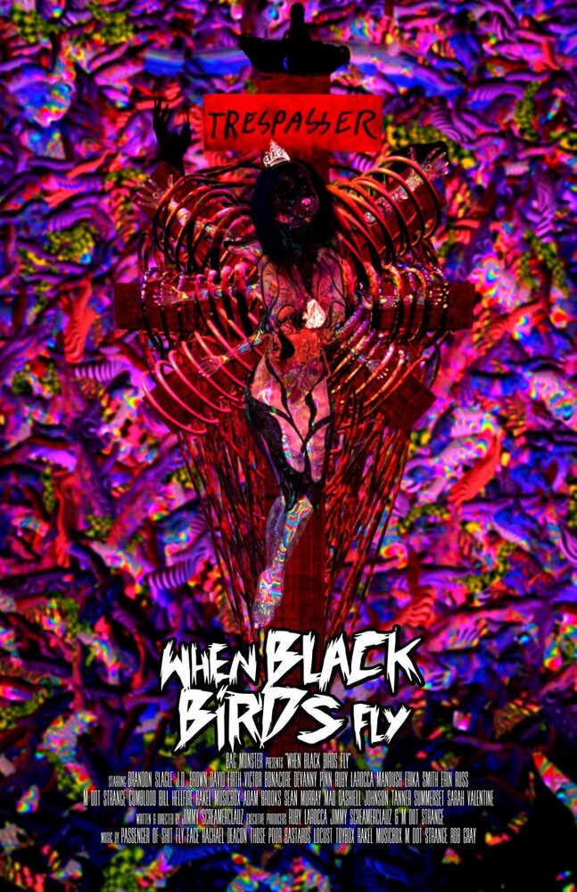 Когда прилетают черные птицы (2016) постер