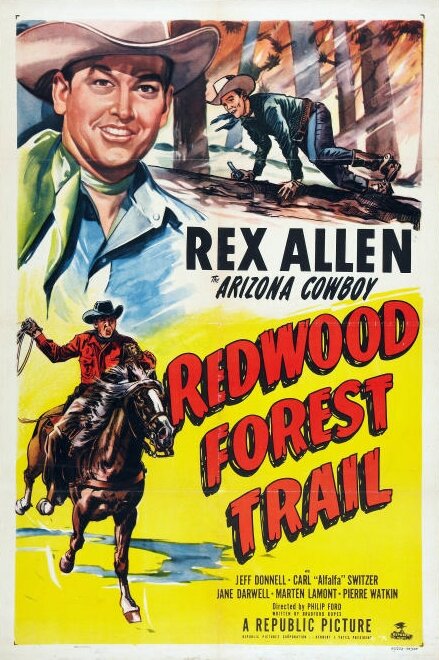 След Красного дерева в лесу (1950) постер
