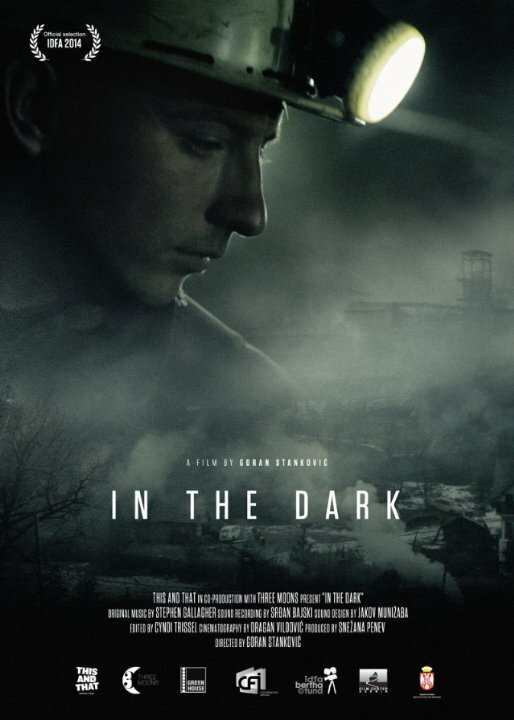 In the Dark (2014) постер