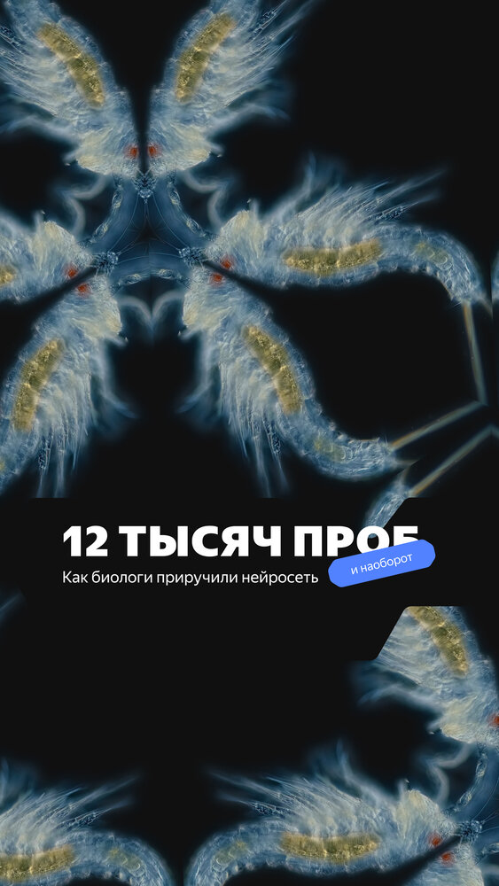 12 тысяч проб (2022) постер