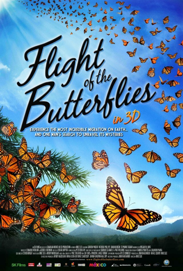 Полет бабочек (2012) постер