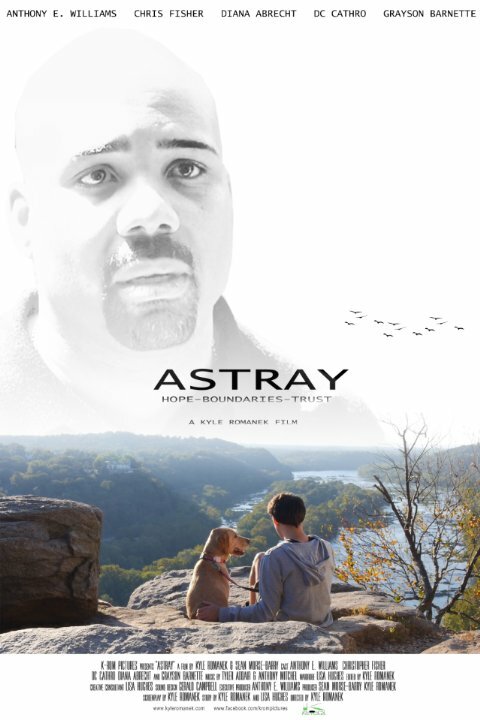 Astray (2014) постер