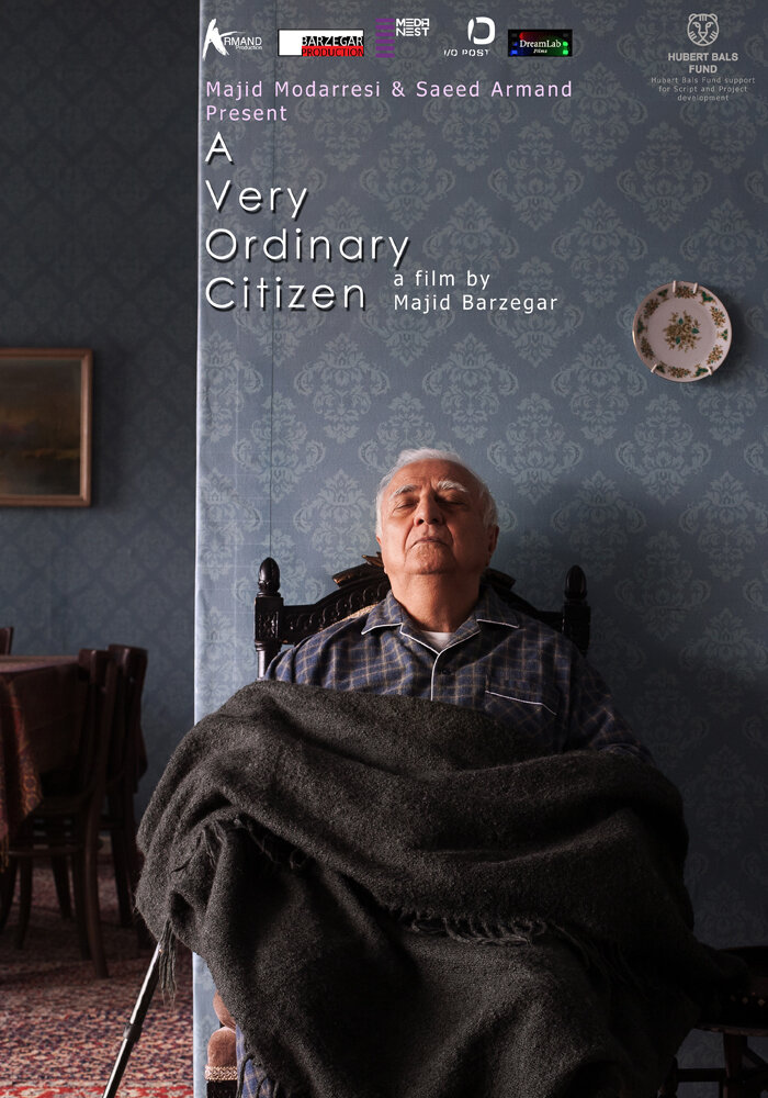 Самый обычный гражданин (2015) постер