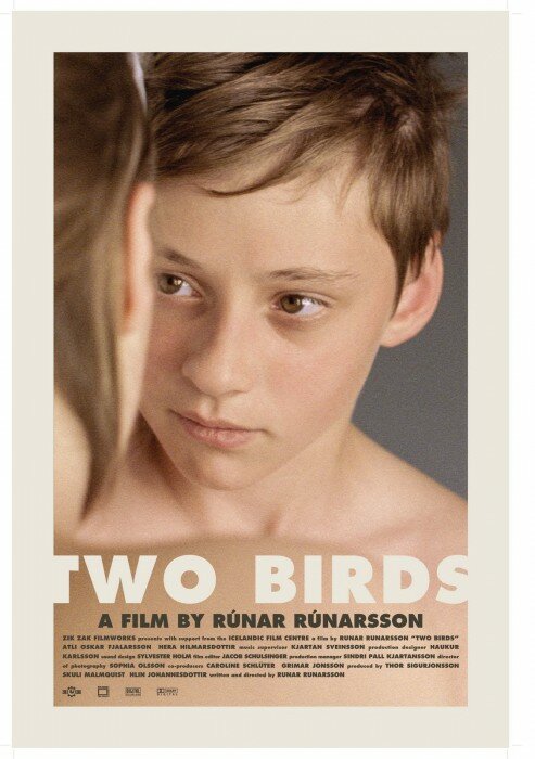 Две птицы (2008) постер