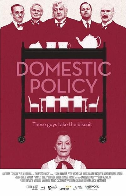 Domestic Policy (2016) постер