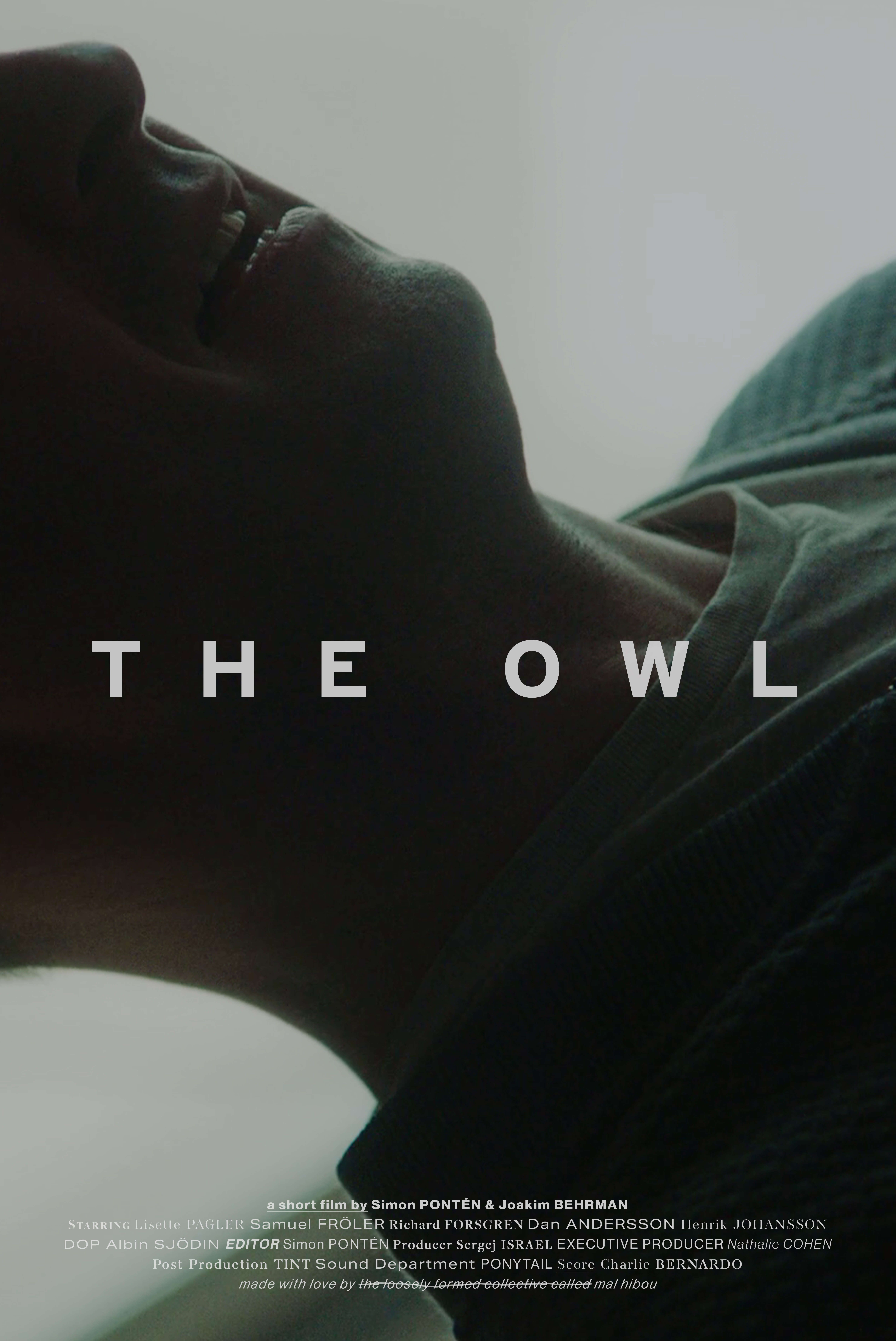 The Owl (2020) постер