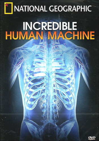 Невероятное тело человека (2007) постер