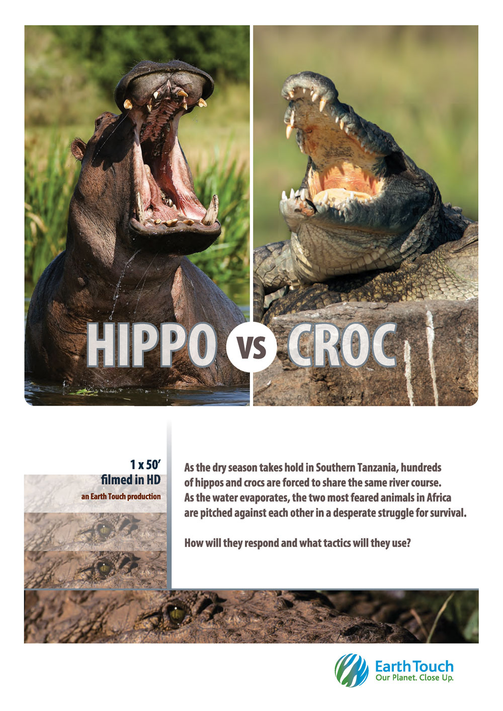 Hippo vs Croc (2014) постер