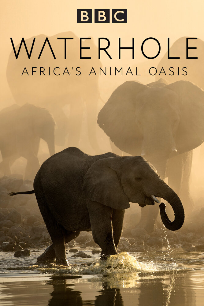 Waterhole: Africa's Animal Oasis (2020) постер