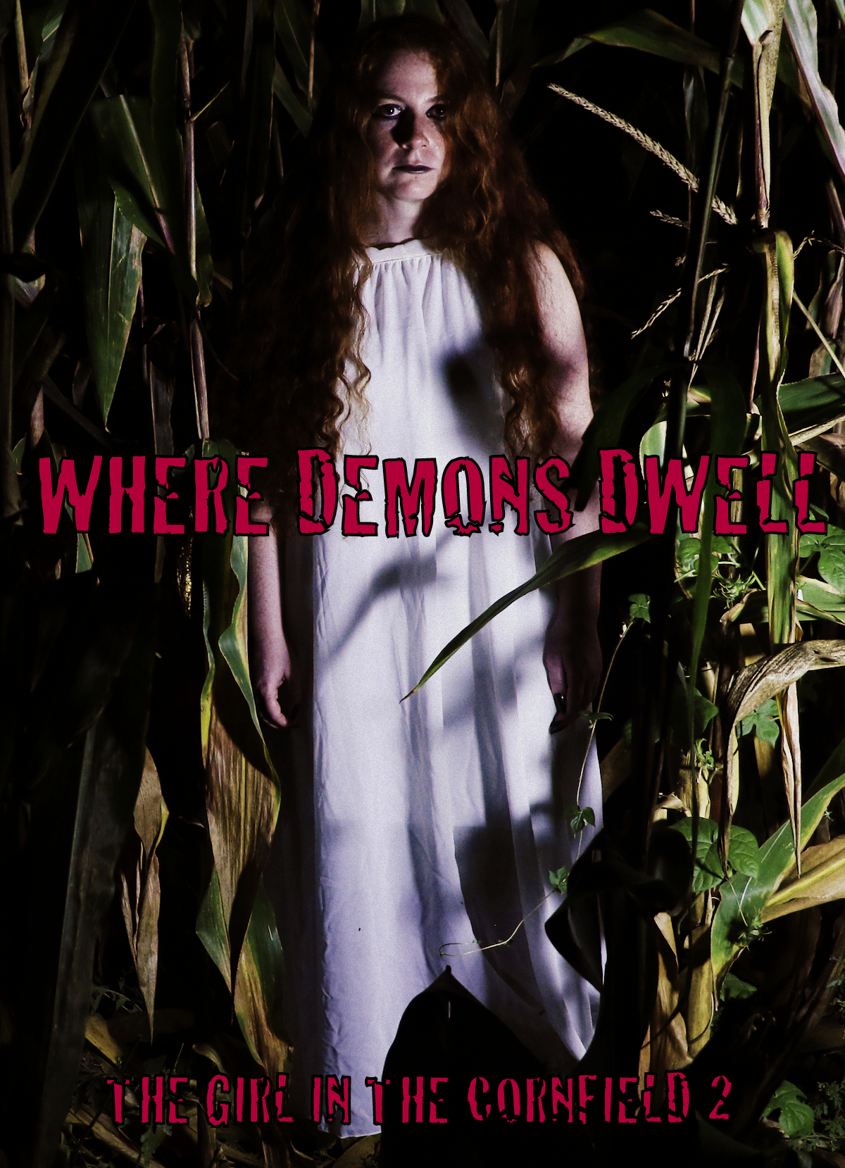 Where Demons Dwell: The Girl in the Cornfield 2 (2017) постер