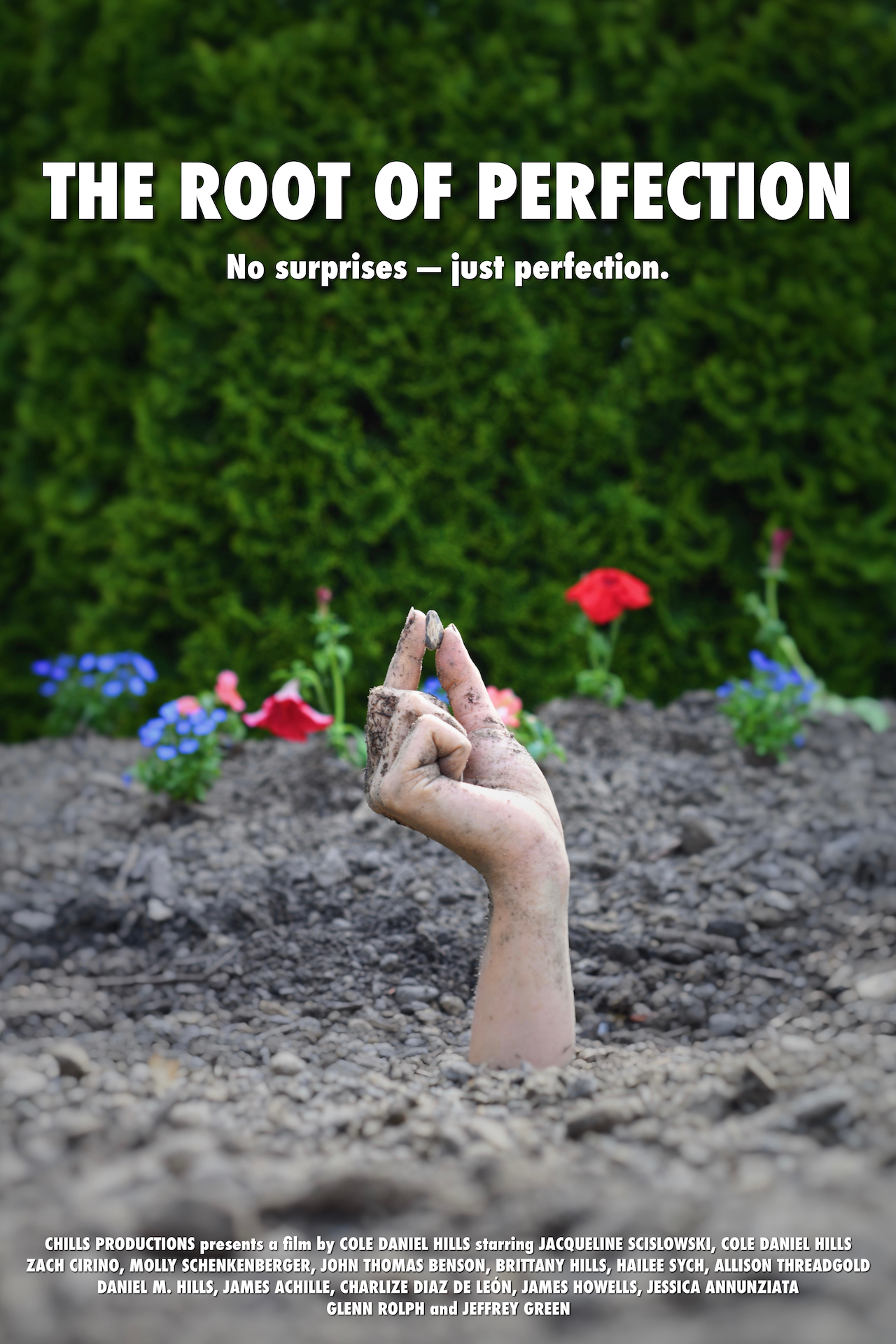 The Root of Perfection (2022) постер