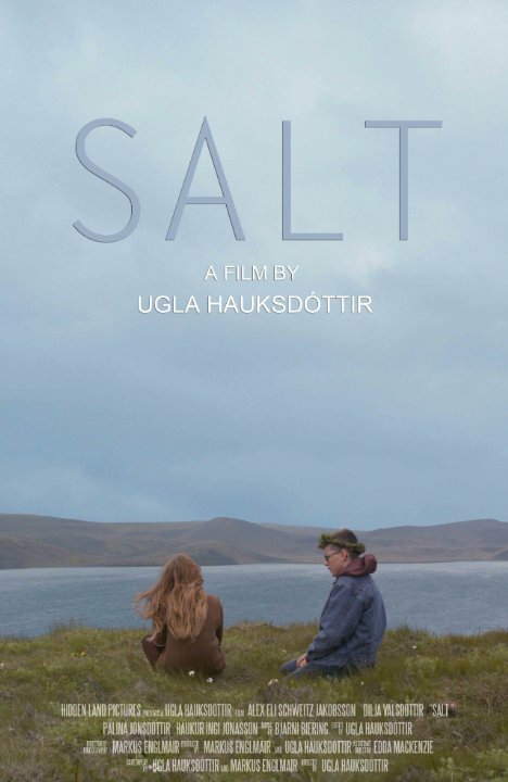 Salt (2014) постер