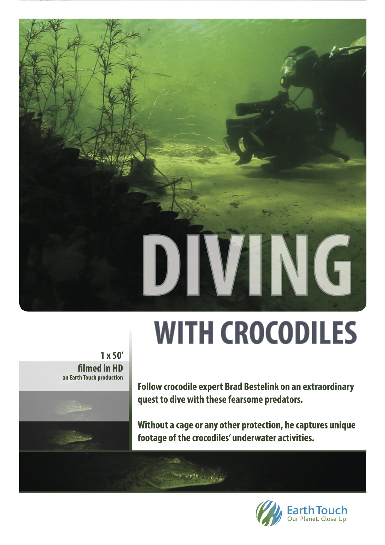 Diving with Crocodiles (2010) постер