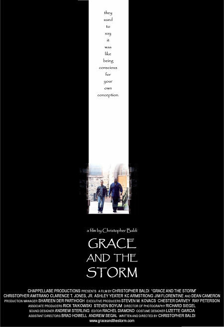 Grace and the Storm (2004) постер