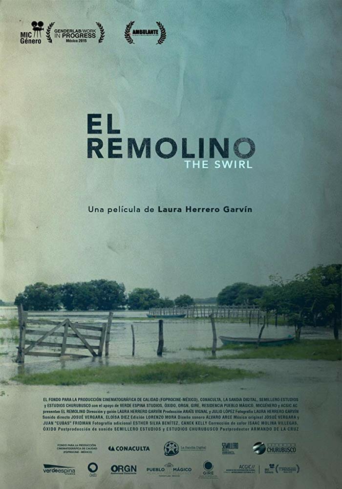 El Remolino (2016) постер