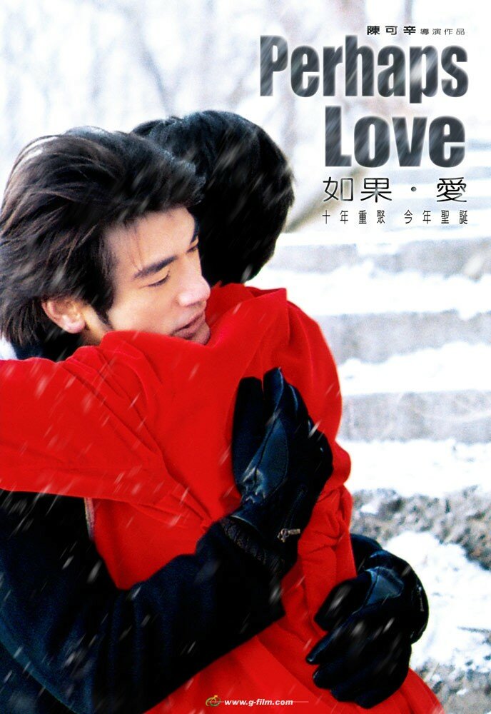 Возможно, любовь (2005) постер