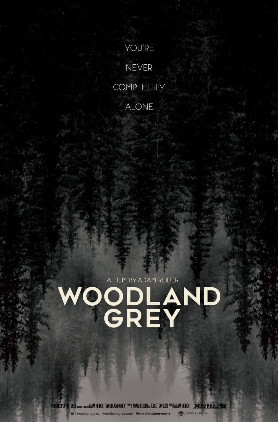 Woodland Grey постер