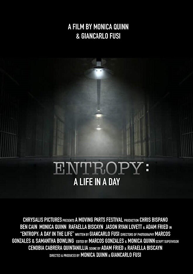 Entropy: A Day in a Life (2017) постер