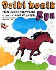 Divoký koník Ryn (1983) постер